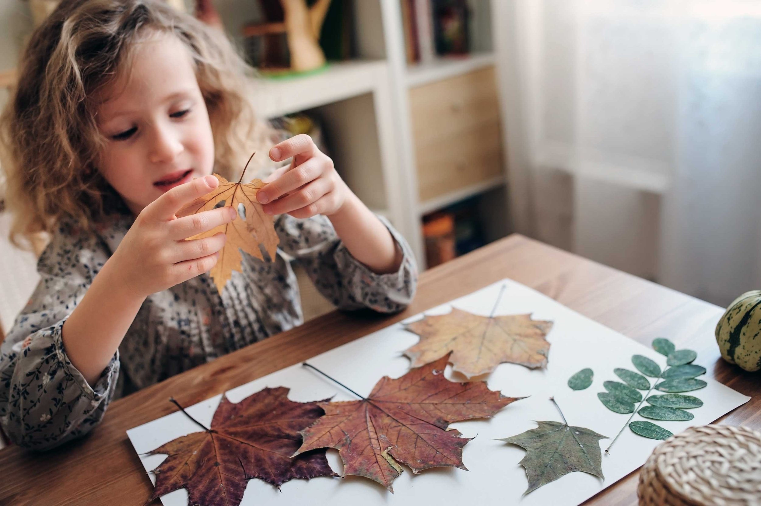 Kid-Friendly Thanksgiving Table Decor Ideas