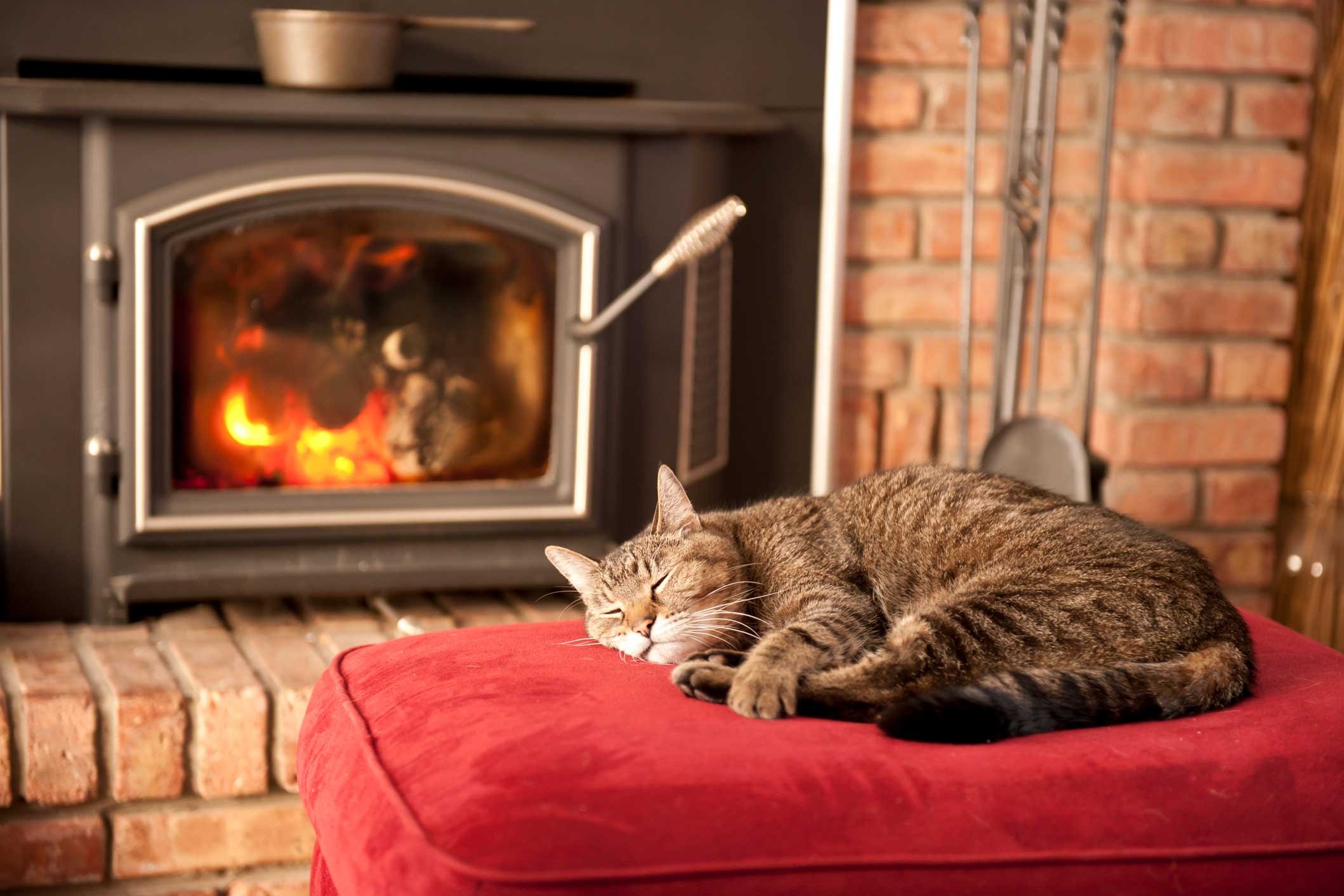 Time to Get Cozy!