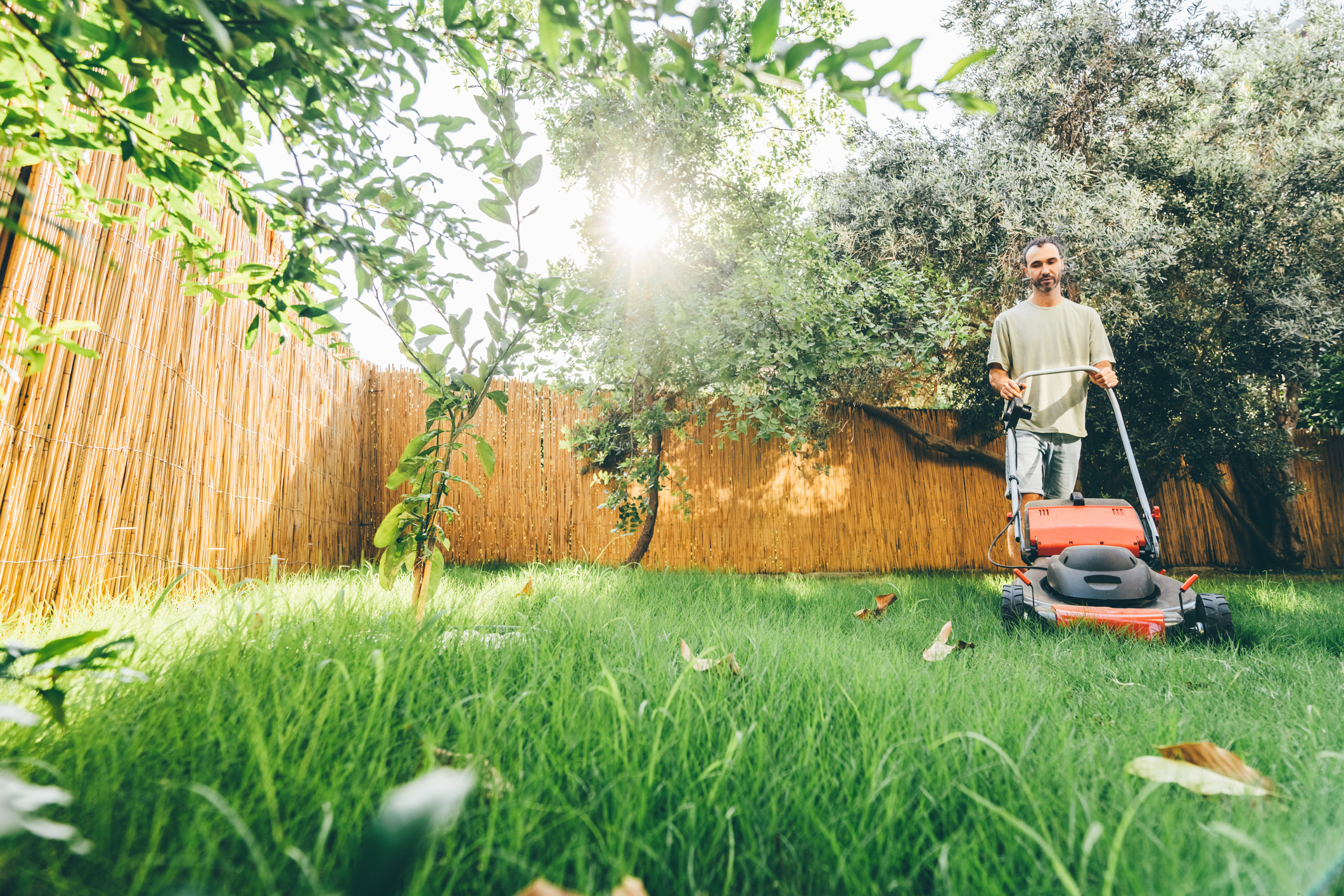 What is a Self-Propelled Lawn Mower?